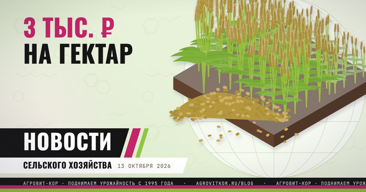 Аграриям Дона: до 7,5 млрд рублей погектарной поддержки — иллюстрация к статье блога АГРОВИТ-КОР