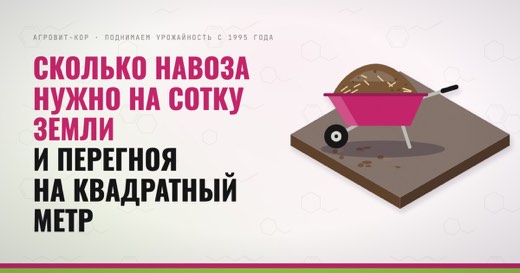 Сколько навоза нужно на сотку земли и перегноя на квадратный метр — иллюстрация к статье блога АГРОВИТ-КОР