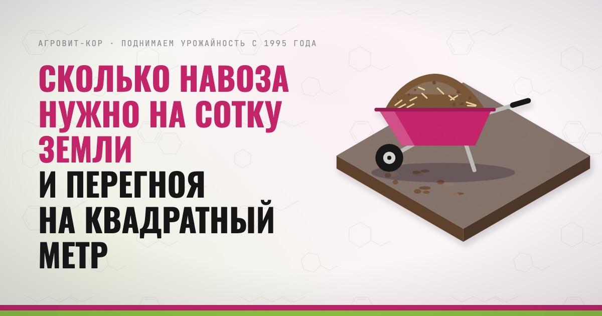 Сколько навоза нужно на сотку земли и перегноя на квадратный метр — иллюстрация к статье блога АГРОВИТ-КОР