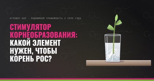 Стимулятор корнеобразования: какой элемент нужен, чтобы корень рос? — иллюстрация к статье блога АГРОВИТ-КОР
