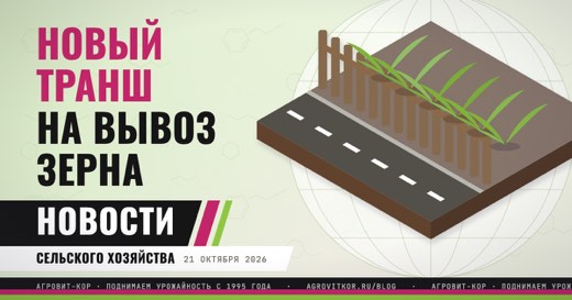 Правительство добавит субсидий на вывоз зерна: что получит хозяйство — иллюстрация к статье блога АГРОВИТ-КОР