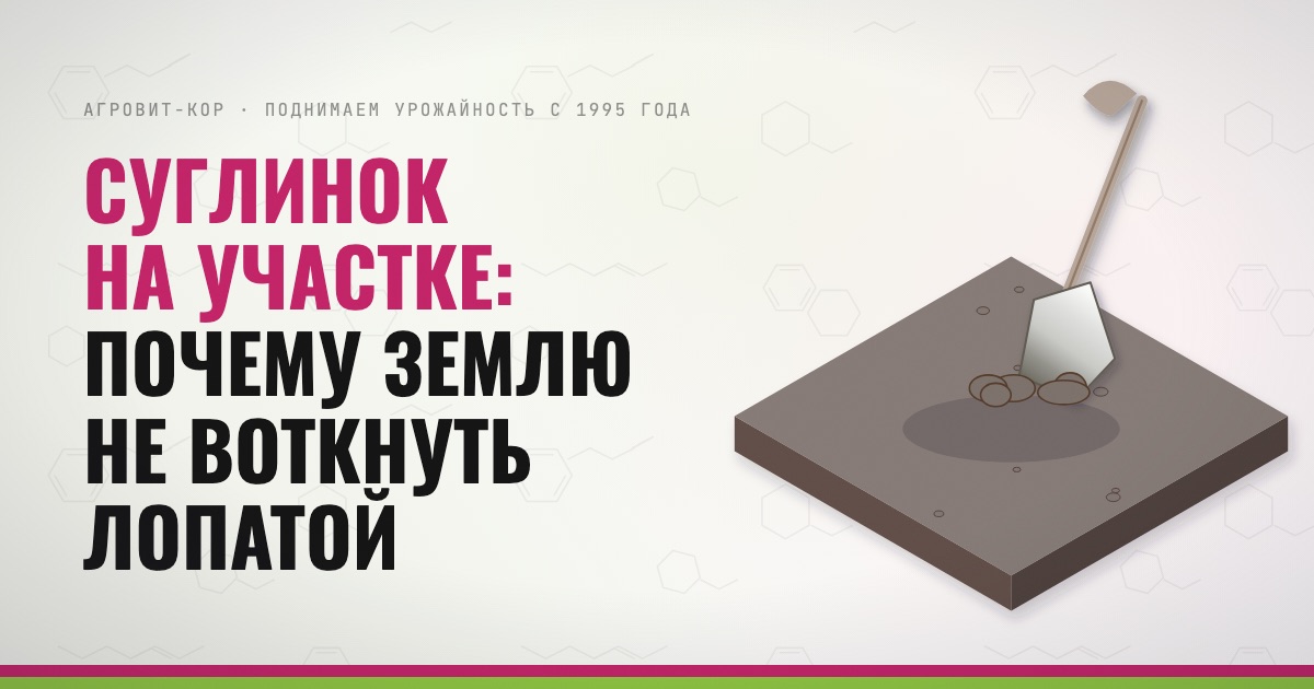 Суглинок на участке: почему землю не воткнуть лопатой — иллюстрация к статье блога АГРОВИТ-КОР