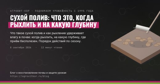 Сухой полив: что это, когда рыхлить и на какую глубину — иллюстрация к статье блога АГРОВИТ-КОР