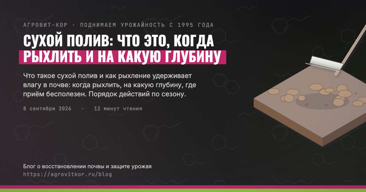 Сухой полив: что это, когда рыхлить и на какую глубину — иллюстрация к статье блога АГРОВИТ-КОР