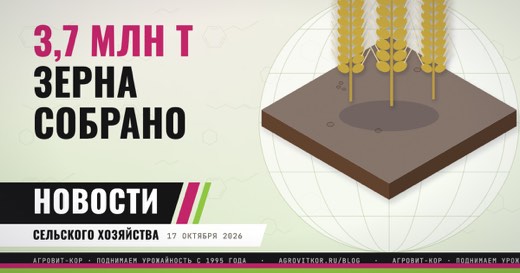 Тамбовская область собрала 3,7 млн т зерна: что делать хозяйствам — иллюстрация к статье блога АГРОВИТ-КОР