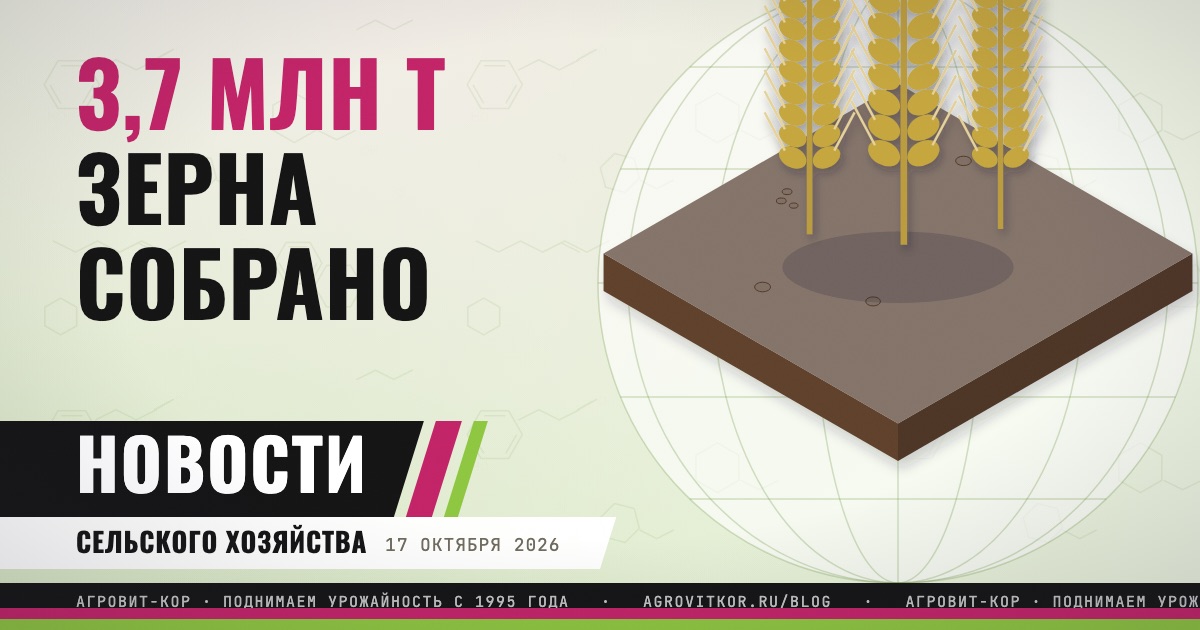 Тамбовская область собрала 3,7 млн т зерна: что делать хозяйствам — иллюстрация к статье блога АГРОВИТ-КОР
