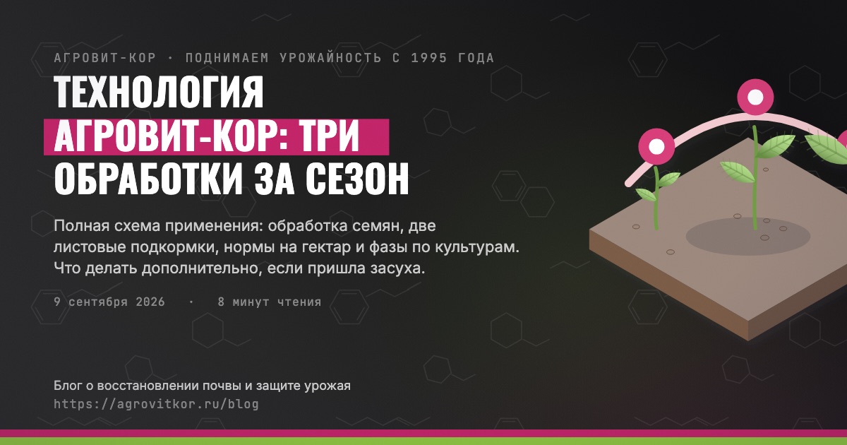 Технология АГРОВИТ-КОР: три обработки за сезон — иллюстрация к статье блога АГРОВИТ-КОР