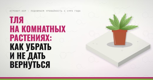 Тля на комнатных растениях: как убрать и не дать вернуться — иллюстрация к статье блога АГРОВИТ-КОР