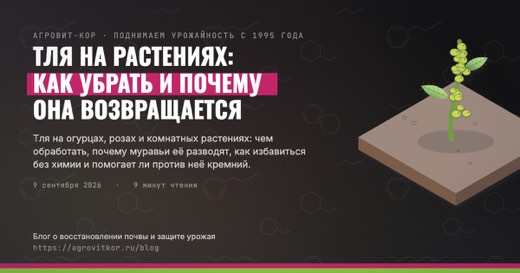 Тля на растениях: как убрать и почему она возвращается — иллюстрация к статье блога АГРОВИТ-КОР