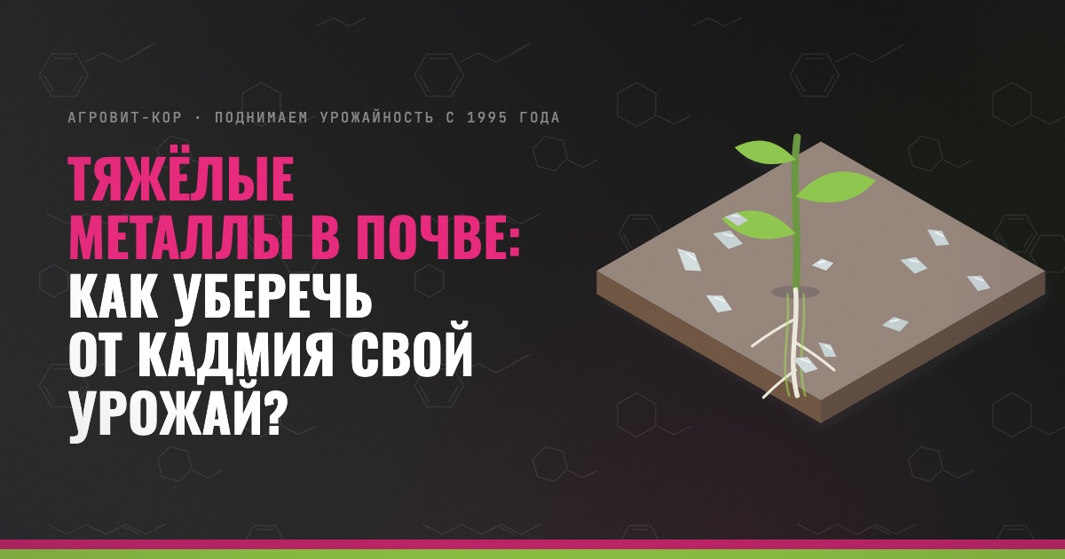 Тяжёлые металлы в почве: как уберечь от кадмия свой урожай? — иллюстрация к статье блога АГРОВИТ-КОР