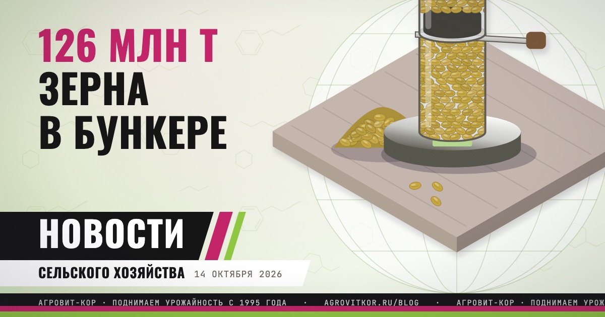 Зерно убрано почти с 90% площадей: что это значит хозяйствам — иллюстрация к статье блога АГРОВИТ-КОР