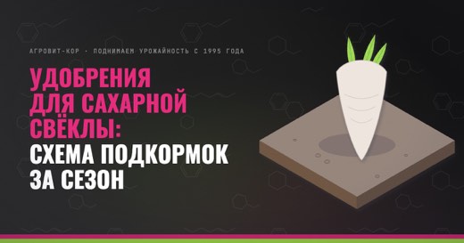 Удобрения для сахарной свёклы: схема подкормок за сезон — иллюстрация к статье блога АГРОВИТ-КОР