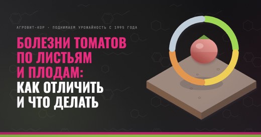 Болезни томатов по листьям и плодам: как отличить и что делать — иллюстрация к статье блога АГРОВИТ-КОР