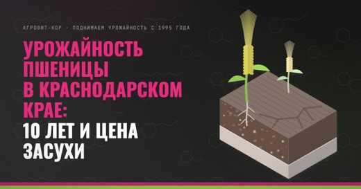 Урожайность пшеницы в Краснодарском крае: 10 лет и цена засухи — иллюстрация к статье блога АГРОВИТ-КОР