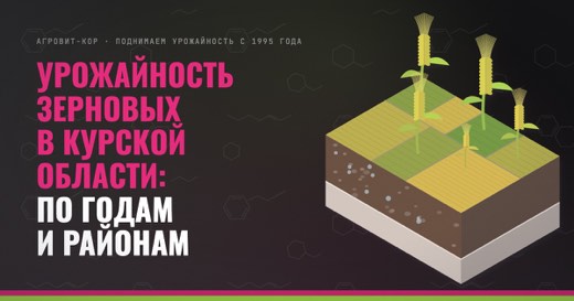 Урожайность зерновых в Курской области: по годам и районам — иллюстрация к статье блога АГРОВИТ-КОР