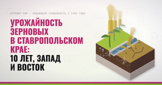 Урожайность зерновых в Ставропольском крае: 10 лет, запад и восток — иллюстрация к статье блога АГРОВИТ-КОР