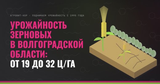 Урожайность зерновых в Волгоградской области: от 19 до 32 ц/га — иллюстрация к статье блога АГРОВИТ-КОР