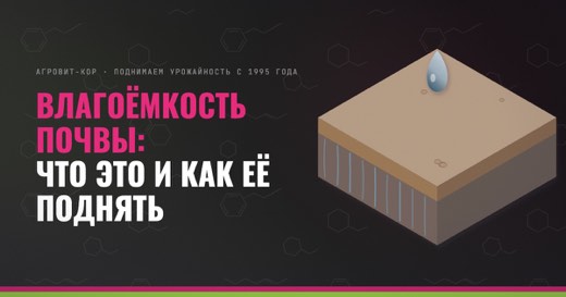 Влагоёмкость почвы: что это и как её поднять — иллюстрация к статье блога АГРОВИТ-КОР