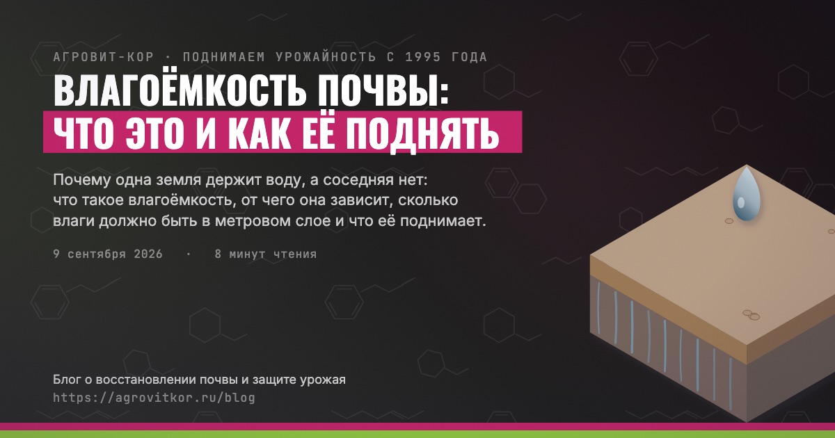 Влагоёмкость почвы: что это и как её поднять — иллюстрация к статье блога АГРОВИТ-КОР
