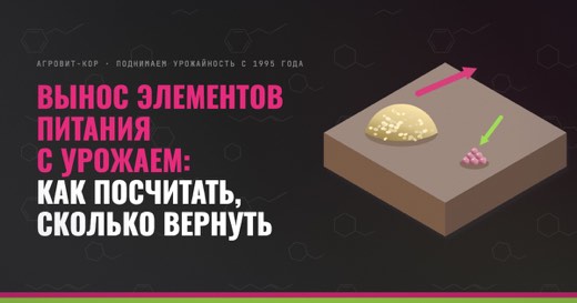 Вынос элементов питания с урожаем: как посчитать, сколько вернуть — иллюстрация к статье блога АГРОВИТ-КОР