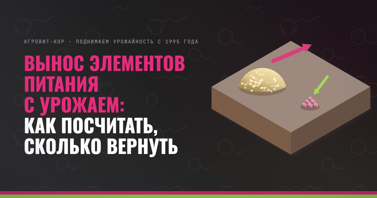 Вынос элементов питания с урожаем: как посчитать, сколько вернуть — иллюстрация к статье блога АГРОВИТ-КОР