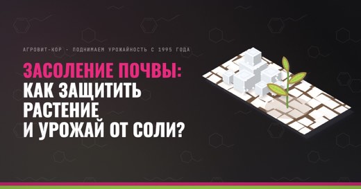 Засоление почвы: как защитить растение и урожай от соли? — иллюстрация к статье блога АГРОВИТ-КОР