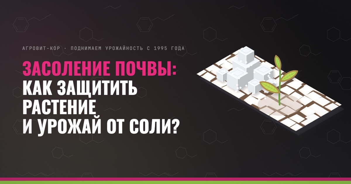 Засоление почвы: как защитить растение и урожай от соли? — иллюстрация к статье блога АГРОВИТ-КОР