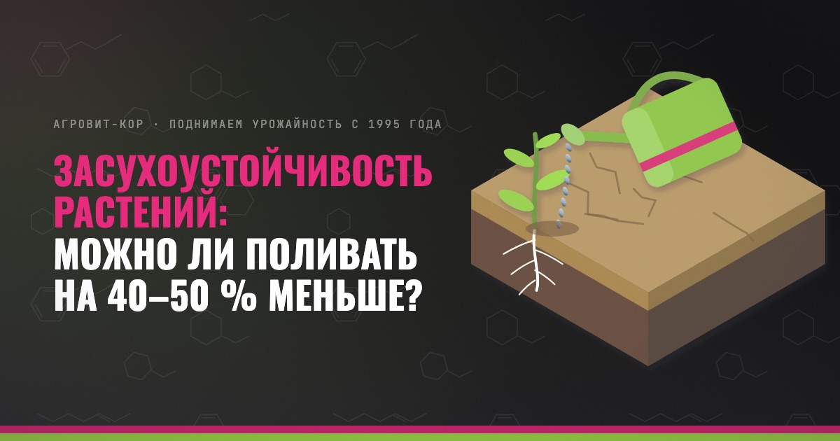 Засухоустойчивость растений: можно ли поливать на 40–50 % меньше? — иллюстрация к статье блога АГРОВИТ-КОР