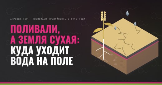 Поливали, а земля сухая: куда уходит вода на поле — иллюстрация к статье блога АГРОВИТ-КОР