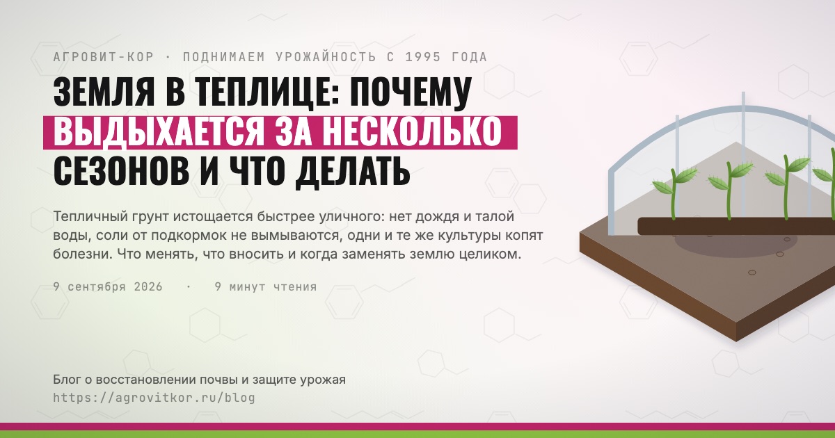 Земля в теплице: почему выдыхается за несколько сезонов и что делать — иллюстрация к статье блога АГРОВИТ-КОР