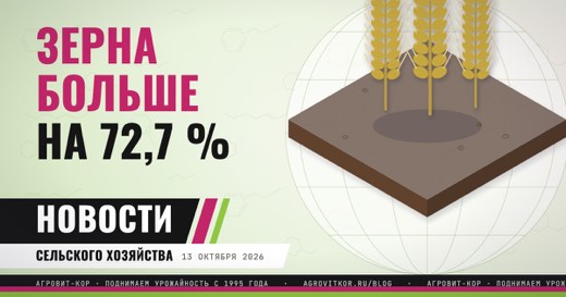 Зерна в России на 72,7 % больше, чем потребили: что делать хозяйству — иллюстрация к статье блога АГРОВИТ-КОР