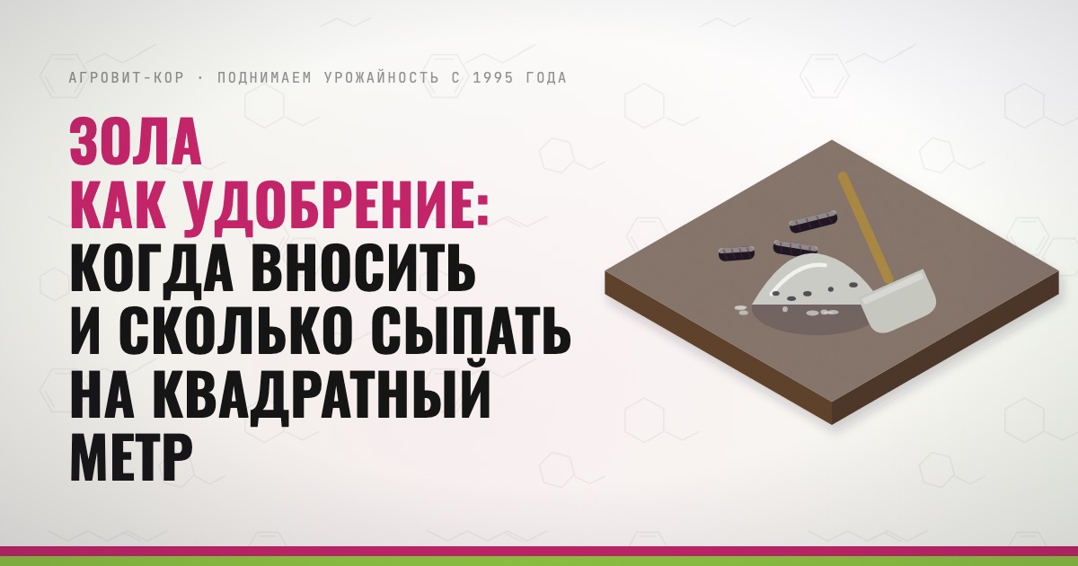 Зола как удобрение: когда вносить и сколько сыпать на квадратный метр — иллюстрация к статье блога АГРОВИТ-КОР