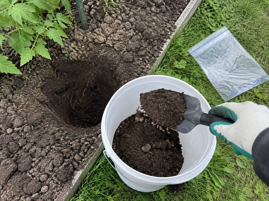 Рука в перчатке ссыпает совком землю в пластиковое ведро с пробами с разных мест грядки, рядом пакет с застёжкой