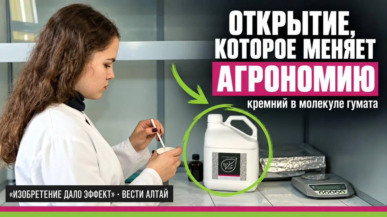Обложка сюжета «Вести Алтай»: открытие, которое меняет агрономию, кремний в молекуле гумата